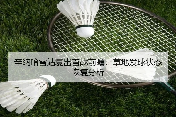 辛纳哈雷站复出首战前瞻：草地发球状态恢复分析